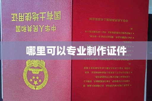 高陵哪里可以专业制作证件