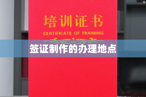 高陵签证制作的办理地点