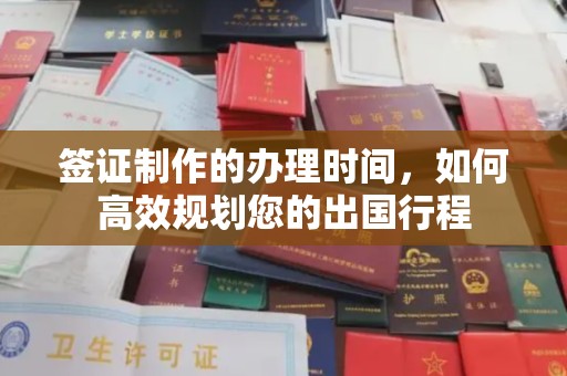 高陵签证制作的办理时间，如何高效规划您的出国行程