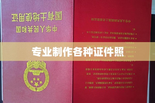 高陵专业制作各种证件照