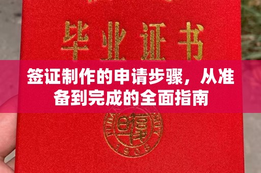 高陵签证制作的申请步骤，从准备到完成的全面指南