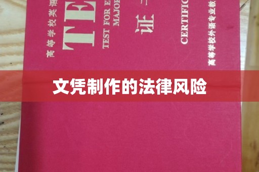 高陵文凭制作的法律风险