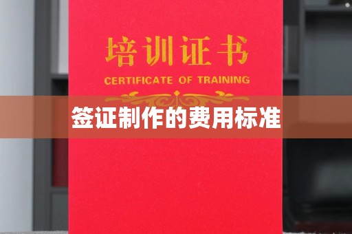 高陵签证制作的费用标准