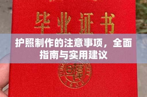 高陵护照制作的注意事项，全面指南与实用建议