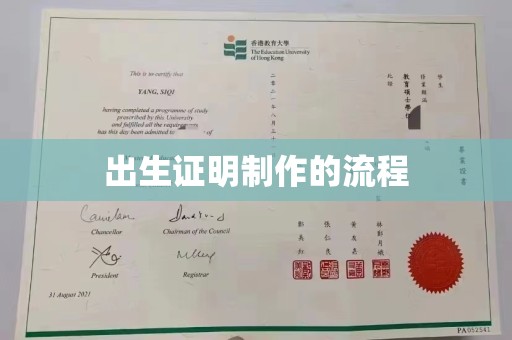 高陵出生证明制作的流程