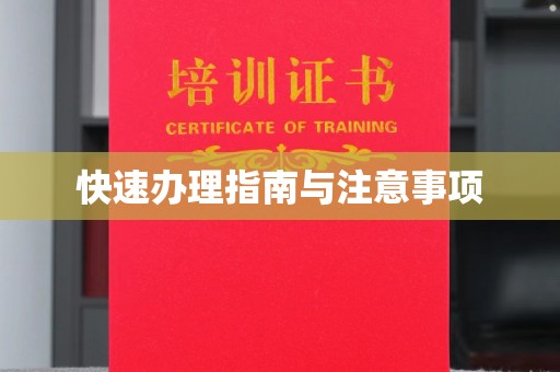高陵快速办理指南与注意事项