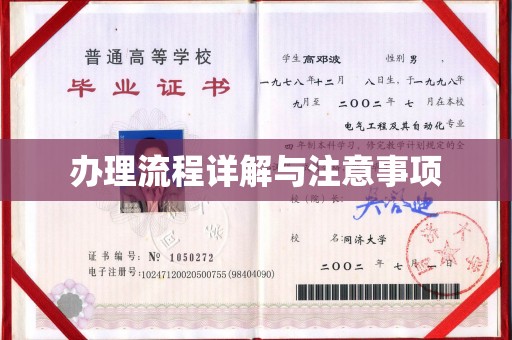高陵办理流程详解与注意事项